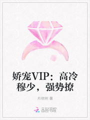 VIP٣ǿ